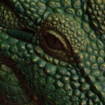 Tenton – CROCODILE