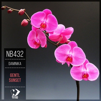 Daminika – Tender Evening (Original Mix)