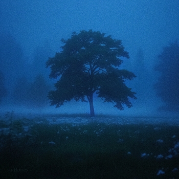 Sadtones – defoliation