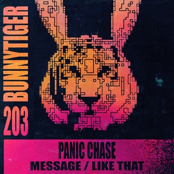Panic Chase – Message