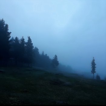 Nowayback – miss you