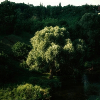 sxpl – take me home