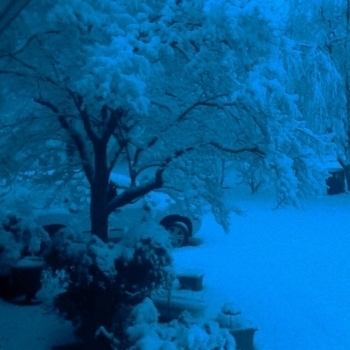 .sadwave – outside (Slowed)