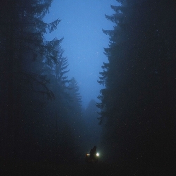 doryrosee – stray (Super Slowed)
