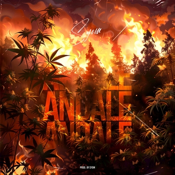 Syom – Andale