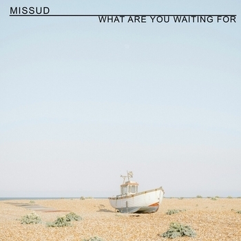 Missud – What Are You Waiting For