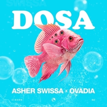 Asher Swissa – Dosa