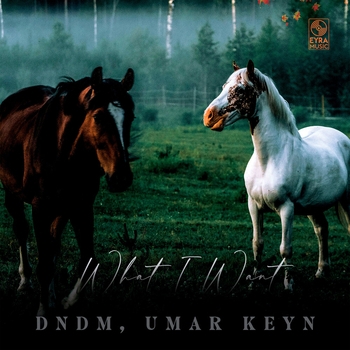 Dndm – What I Want