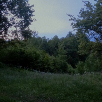 nesfot – i'm gonna miss you