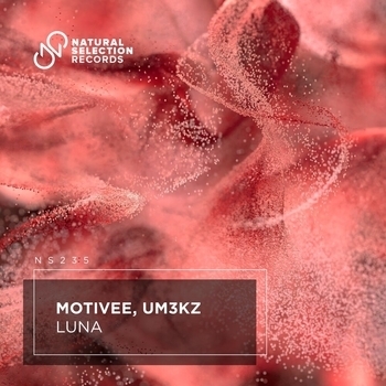 Motivee – Luna