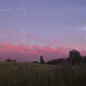 EMPTYCAT – WW