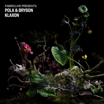 Pola & Bryson – Klaxon