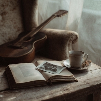 Assol – a snapshol between pages
