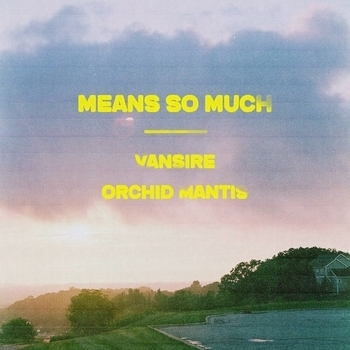 Vansire – Means So Much
