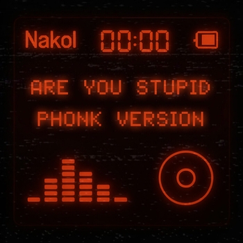 Nakol – ARE YOU STUPID (Super Ultra Slowed)