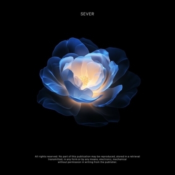 Sever – Vision