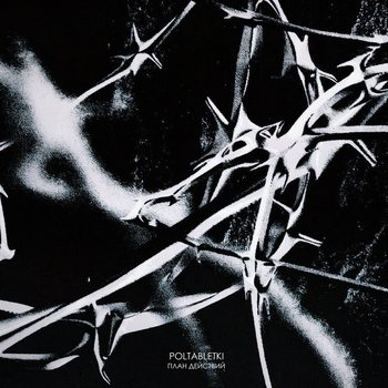 Poltabletki – План действий