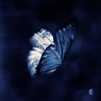LUAMEL – Starrain