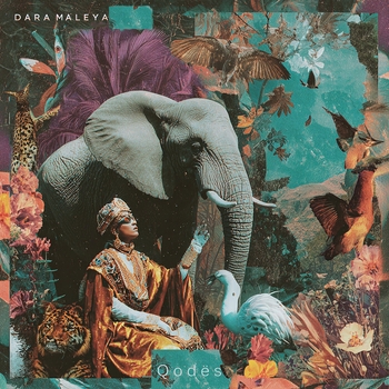 Qodes – Dara Maleya