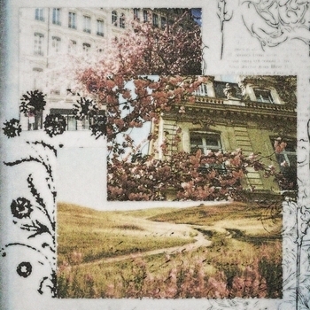 Y$57 – DON'T LEAVE