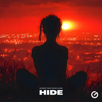 Diligent Man – Hide