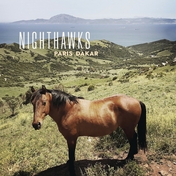 Nighthawks – Young