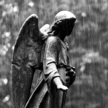 enisieda – rain