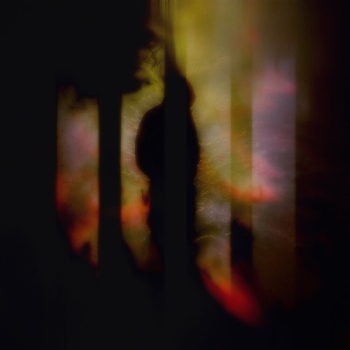 Dxrkcvlt – NOT MY PROBLEM