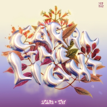 PLS&TY – Carry The Light