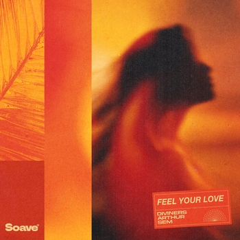 Diviners – Feel Your Love
