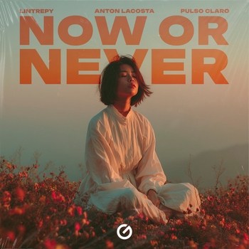 Lintrepy – Now Or Never