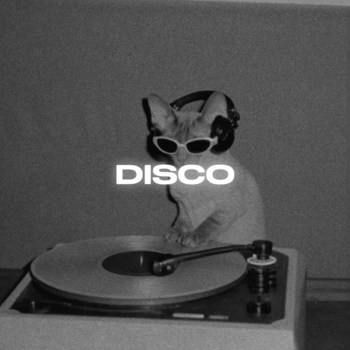 Rendow – Disco (Slowed)