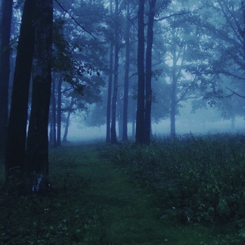 Nowayback – you dead to me