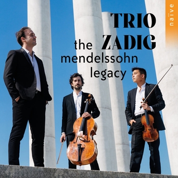 Trio Zadig – Piano Trio No. 1 in D Minor, Op. 49, MWV Q 29: I. Molto Allegro agitato