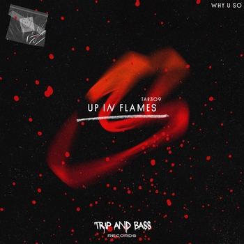 Why U So – Up In Flames