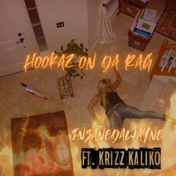 Insanedawayne – Hookaz on da Rag