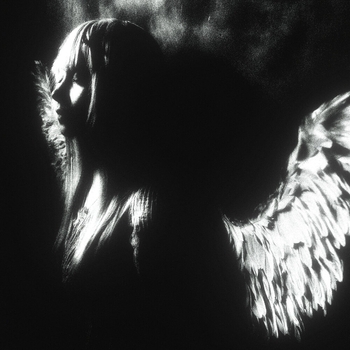 Blurryfxce – VELE