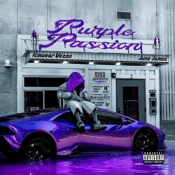 icewear vezzo – Tesla