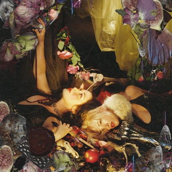 Chokecherry – Goldmine
