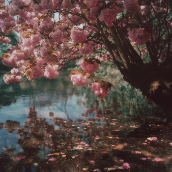 Cagmo – River Flows in You