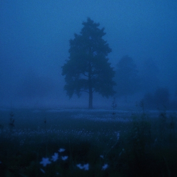 Sadtones – quiet place