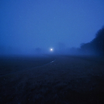 Sadtones – wilted