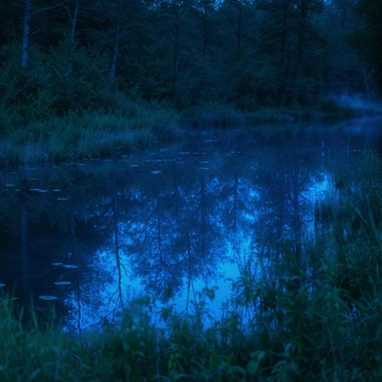 Sadtones – emptiness