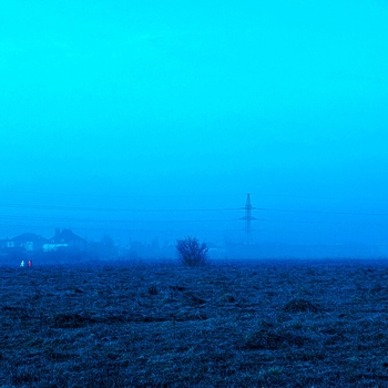 The morph – night walk