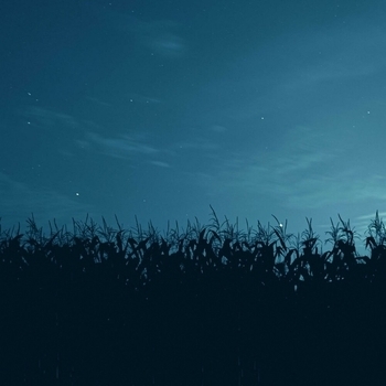 The morph – watching the stars