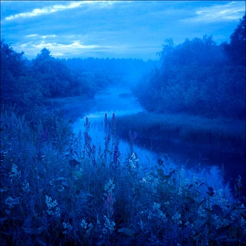 The morph – after the rain