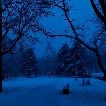 The morph – snow