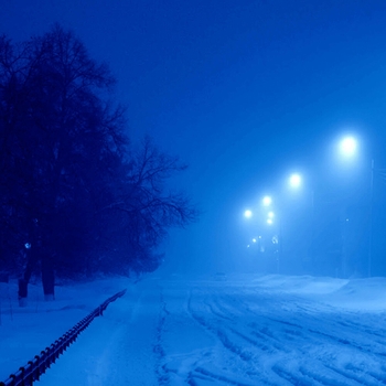 The morph – evening walk