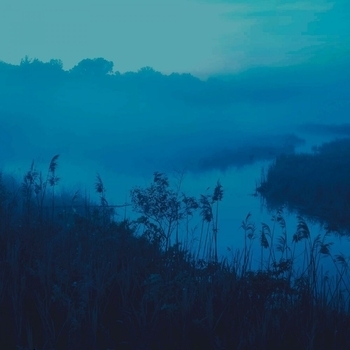 The morph – sleepscape