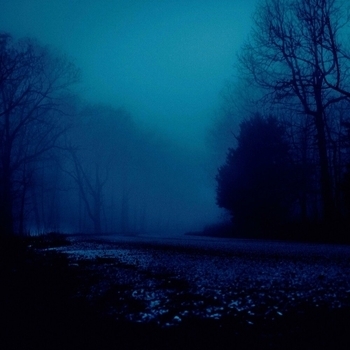 The morph – ambient love